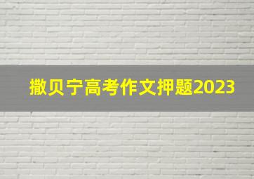 撒贝宁高考作文押题2023