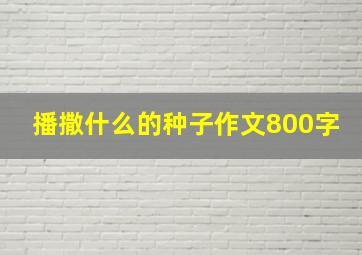 播撒什么的种子作文800字