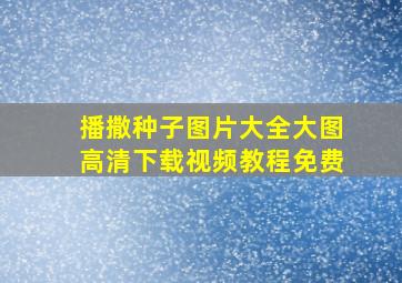 播撒种子图片大全大图高清下载视频教程免费