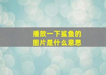 播放一下鲨鱼的图片是什么意思