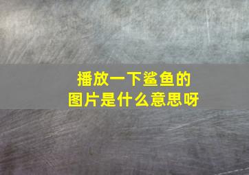 播放一下鲨鱼的图片是什么意思呀