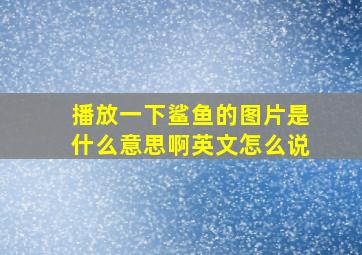 播放一下鲨鱼的图片是什么意思啊英文怎么说