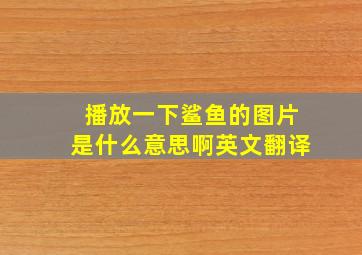 播放一下鲨鱼的图片是什么意思啊英文翻译