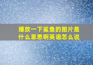 播放一下鲨鱼的图片是什么意思啊英语怎么说