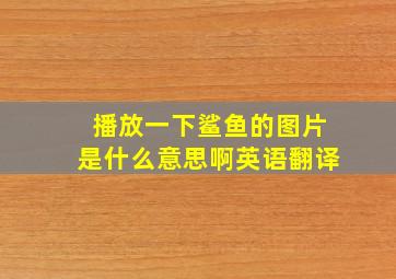 播放一下鲨鱼的图片是什么意思啊英语翻译