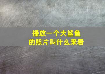 播放一个大鲨鱼的照片叫什么来着