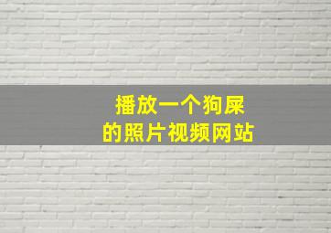 播放一个狗屎的照片视频网站