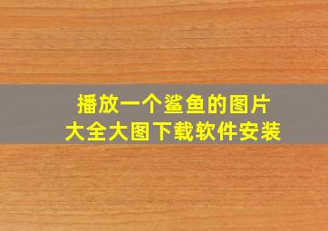 播放一个鲨鱼的图片大全大图下载软件安装