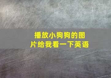 播放小狗狗的图片给我看一下英语