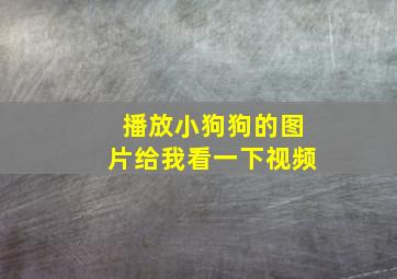 播放小狗狗的图片给我看一下视频