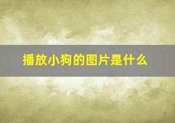 播放小狗的图片是什么