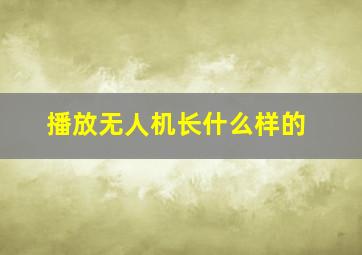 播放无人机长什么样的