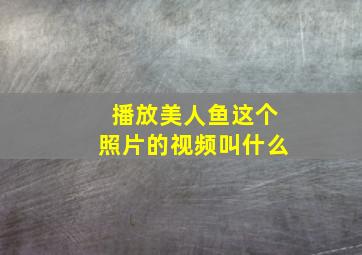 播放美人鱼这个照片的视频叫什么