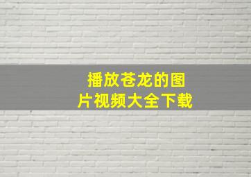 播放苍龙的图片视频大全下载