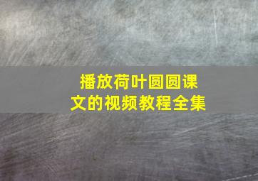 播放荷叶圆圆课文的视频教程全集