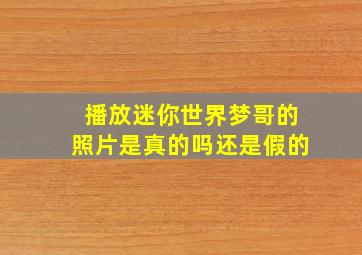 播放迷你世界梦哥的照片是真的吗还是假的