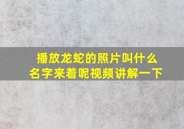 播放龙蛇的照片叫什么名字来着呢视频讲解一下