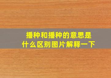 播种和播种的意思是什么区别图片解释一下