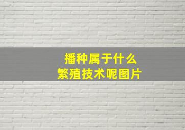 播种属于什么繁殖技术呢图片