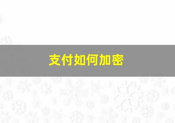 支付如何加密