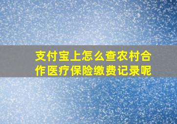 支付宝上怎么查农村合作医疗保险缴费记录呢