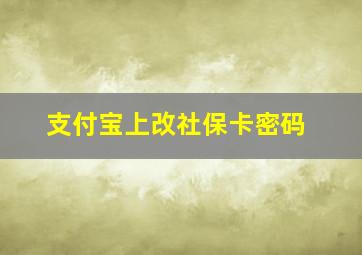 支付宝上改社保卡密码