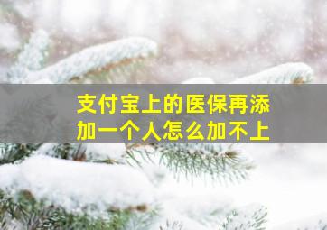 支付宝上的医保再添加一个人怎么加不上