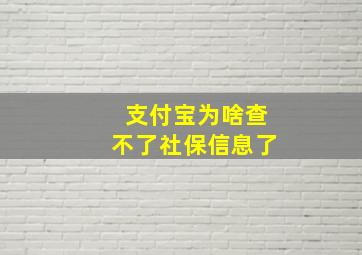 支付宝为啥查不了社保信息了