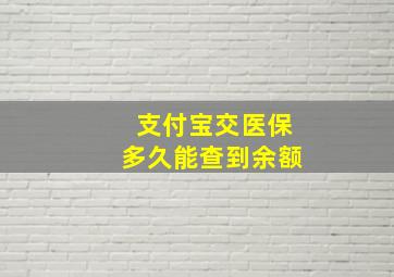 支付宝交医保多久能查到余额