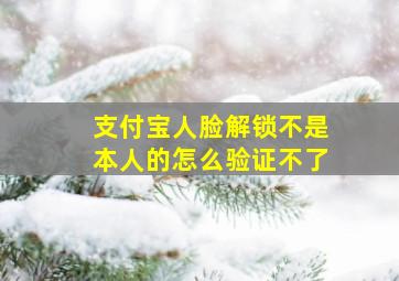 支付宝人脸解锁不是本人的怎么验证不了