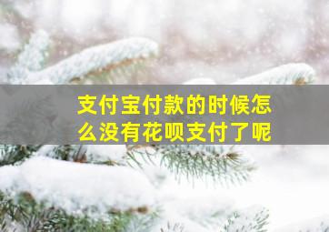 支付宝付款的时候怎么没有花呗支付了呢