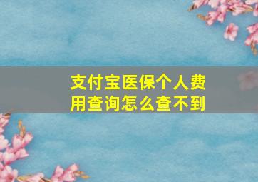 支付宝医保个人费用查询怎么查不到