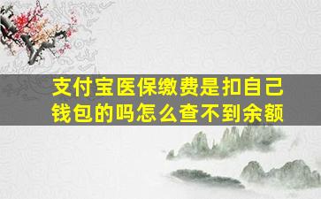 支付宝医保缴费是扣自己钱包的吗怎么查不到余额