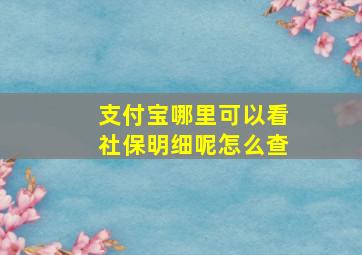 支付宝哪里可以看社保明细呢怎么查