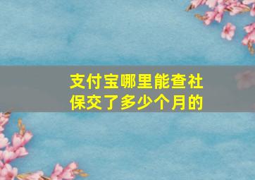 支付宝哪里能查社保交了多少个月的