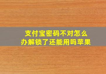 支付宝密码不对怎么办解锁了还能用吗苹果