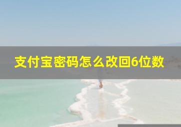 支付宝密码怎么改回6位数