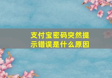 支付宝密码突然提示错误是什么原因