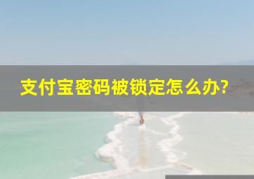 支付宝密码被锁定怎么办?