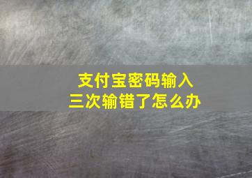 支付宝密码输入三次输错了怎么办