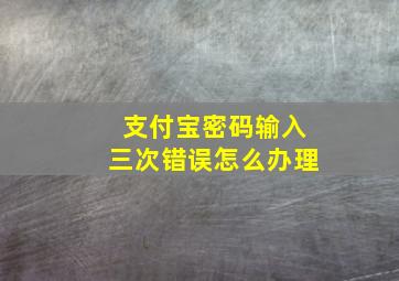 支付宝密码输入三次错误怎么办理