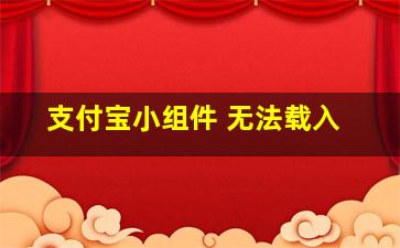 支付宝小组件 无法载入