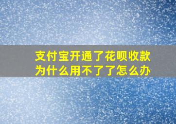 支付宝开通了花呗收款为什么用不了了怎么办