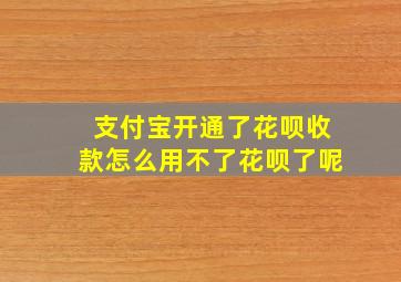 支付宝开通了花呗收款怎么用不了花呗了呢