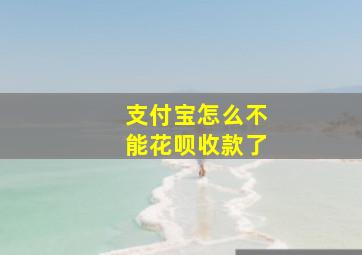 支付宝怎么不能花呗收款了