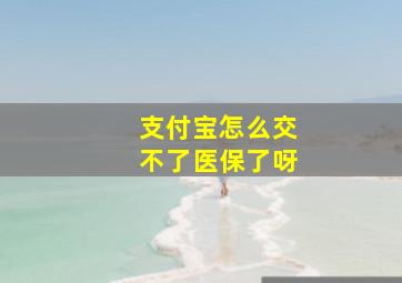 支付宝怎么交不了医保了呀