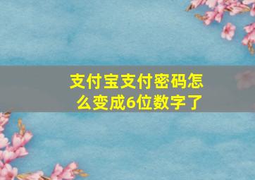 支付宝支付密码怎么变成6位数字了