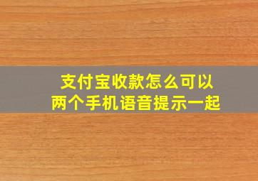 支付宝收款怎么可以两个手机语音提示一起