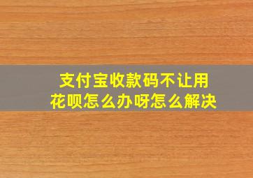 支付宝收款码不让用花呗怎么办呀怎么解决