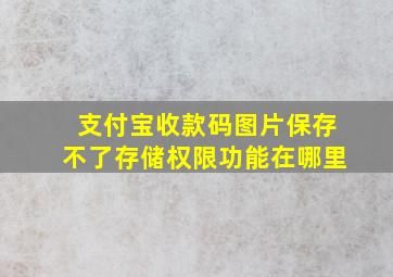 支付宝收款码图片保存不了存储权限功能在哪里